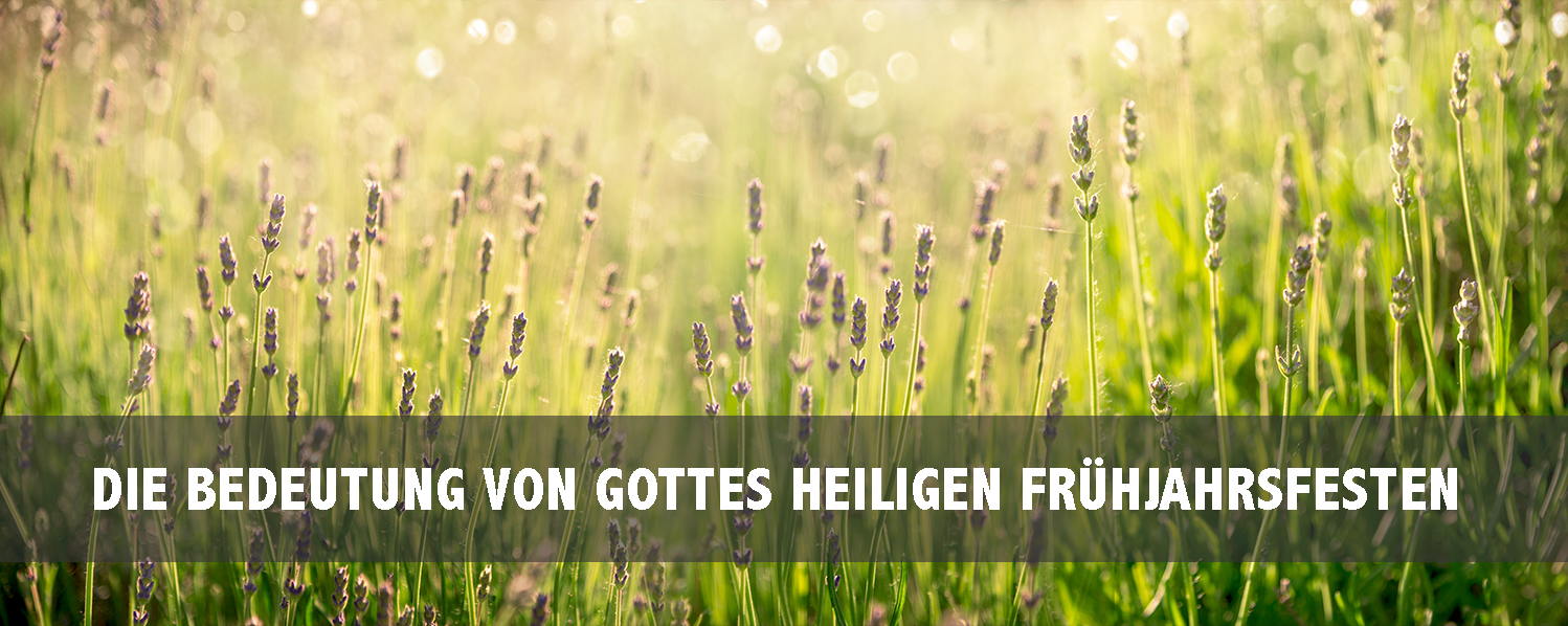 Die Bedeutung von Gottes Heiligen Frühjahrsfesten